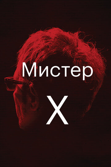 Мистер Икс (2014)